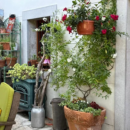 Ivana Appartamento Abbazia