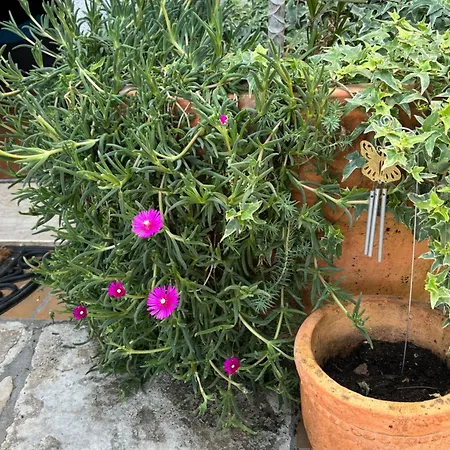 Ivana Appartamento Abbazia