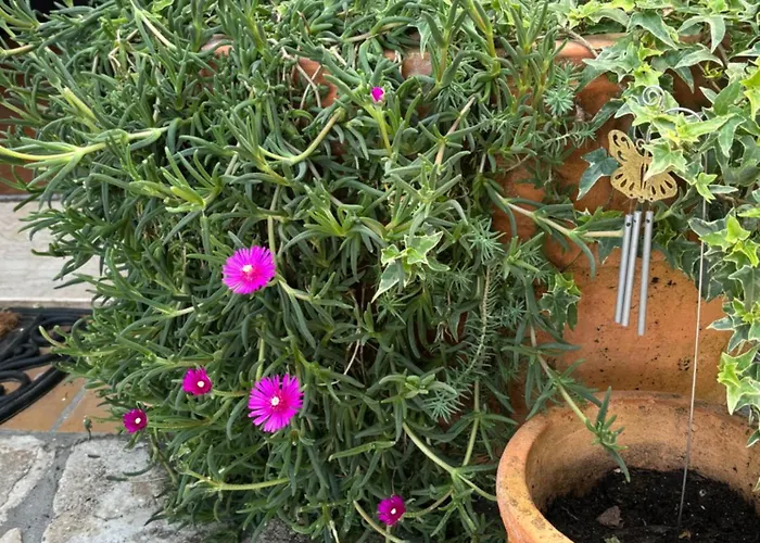 Ivana Apartment Opatija